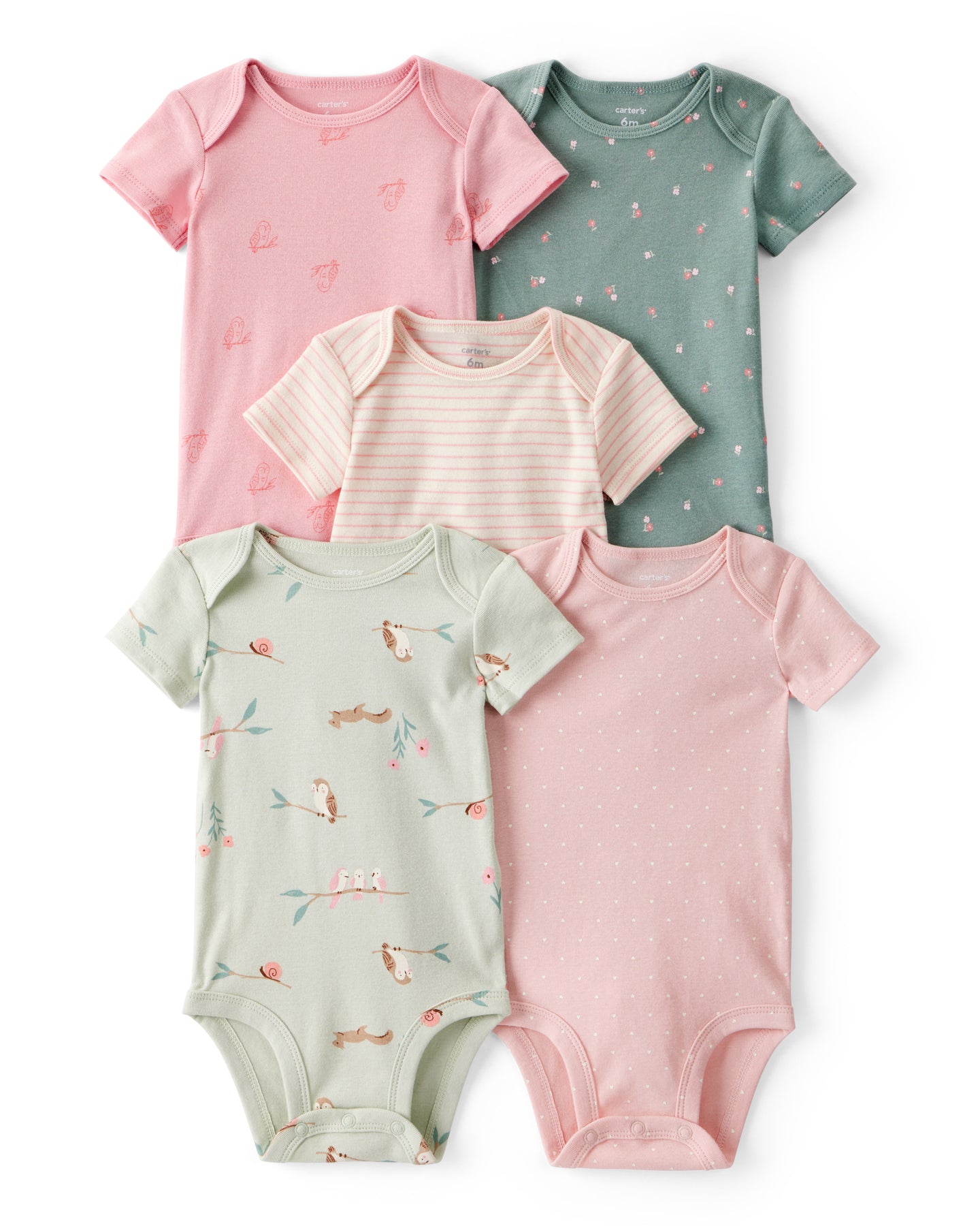 5PK BS Owl St