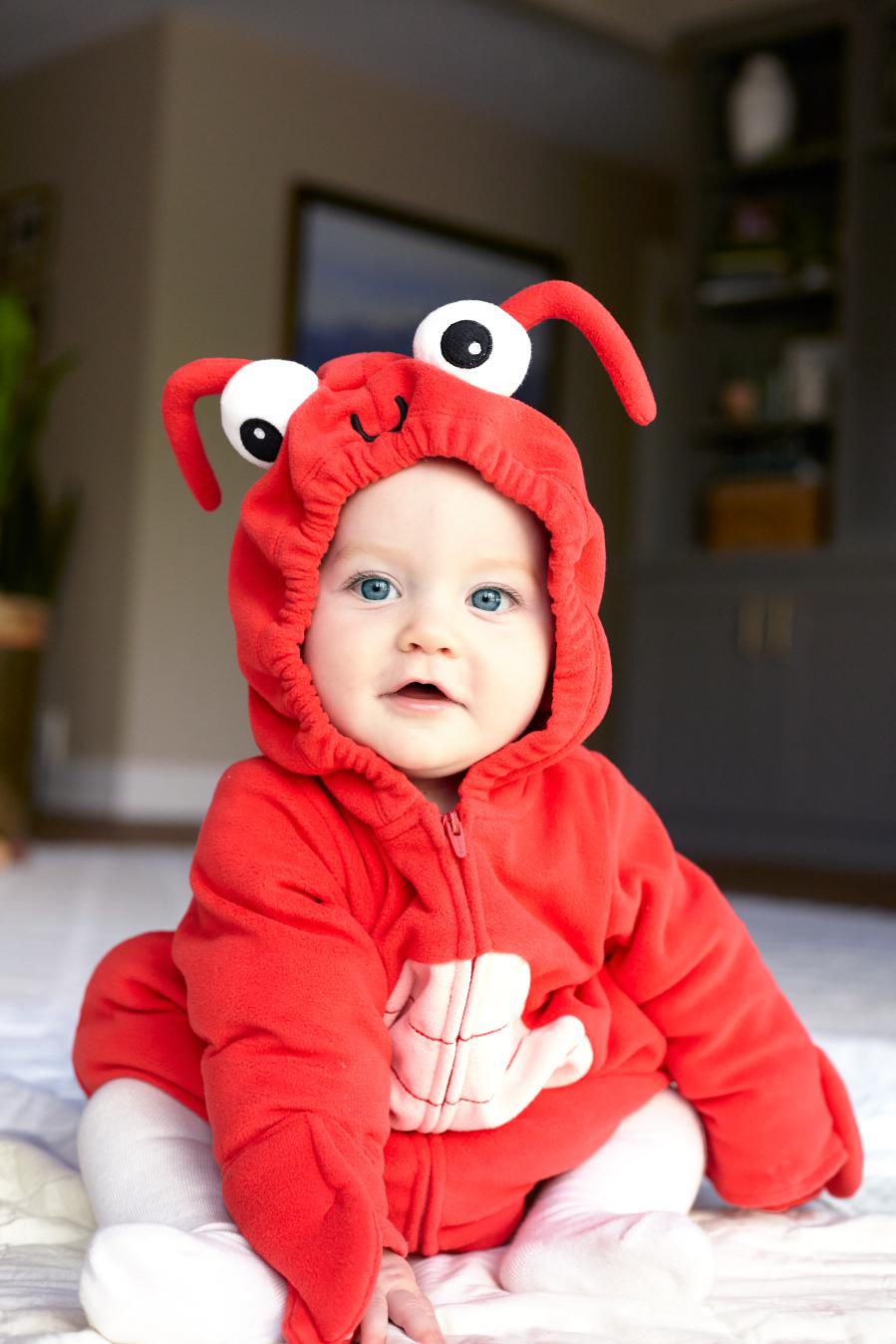 Little Lobster Halloween Costume